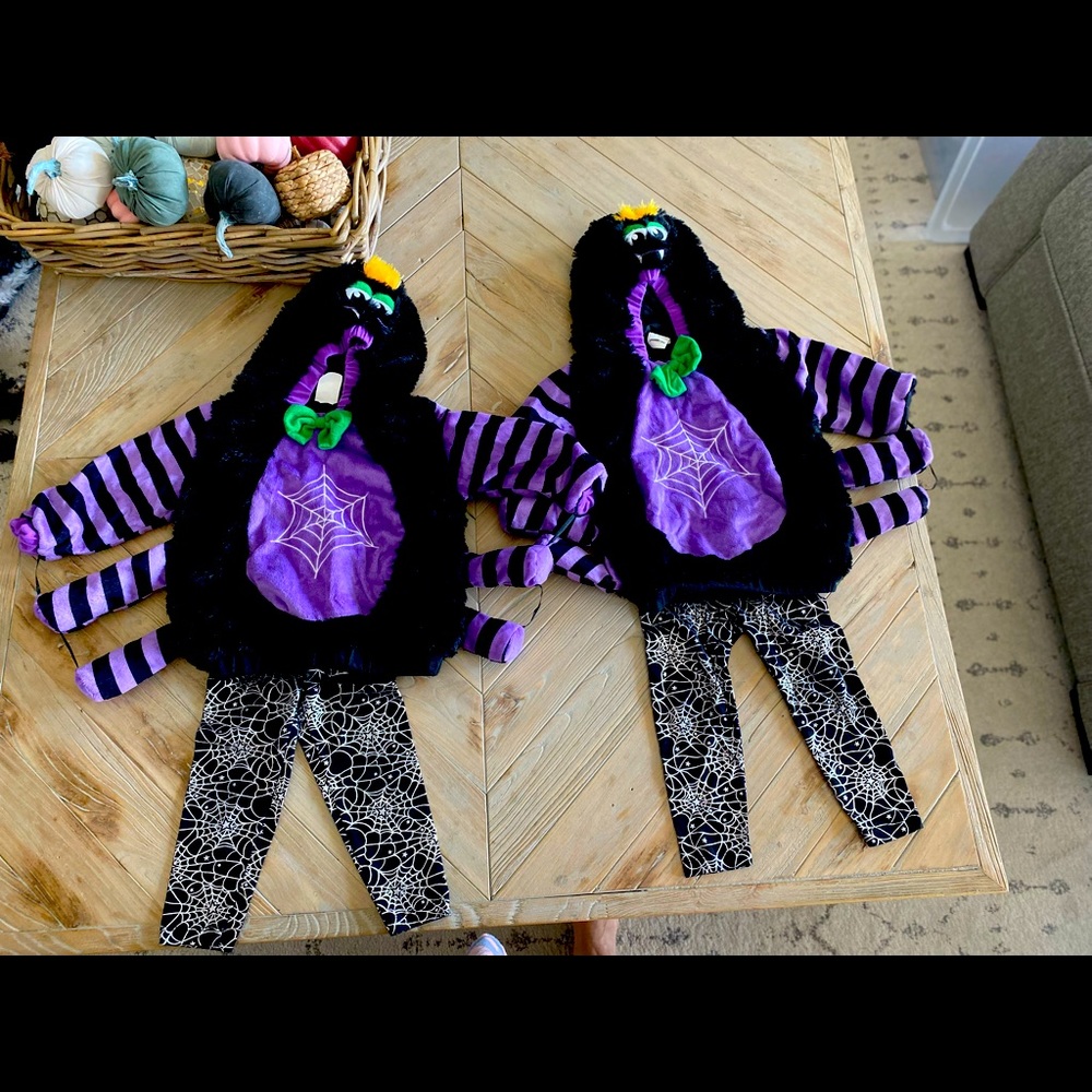 Spider costumes